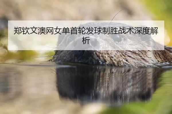 郑钦文澳网女单首轮发球制胜战术深度解析