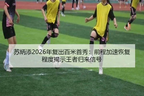 su-bing-tian-nian-fu-chu-bai-mi-shou-xiu-qian-cheng-jia-su-hui-fu-cheng-du-jie-shi-wang-zhe-gui-lai-xin-hao-2-278.jpg