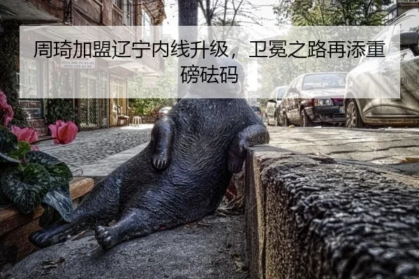 周琦加盟辽宁内线升级，卫冕之路再添重磅砝码