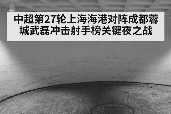 中超第27轮上海海港对阵成都蓉城武磊冲击射手榜关键夜之战